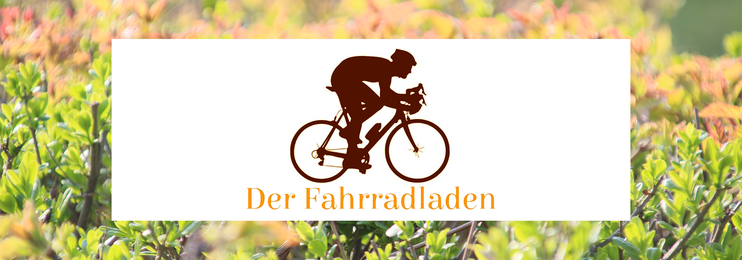 Der Fahrradladen
